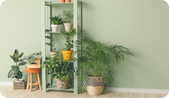 zielona ściana i szafka z roślinami